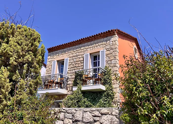 Wellness Garden Ξενοδοχείο *