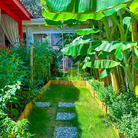 Wellness Garden Szálloda