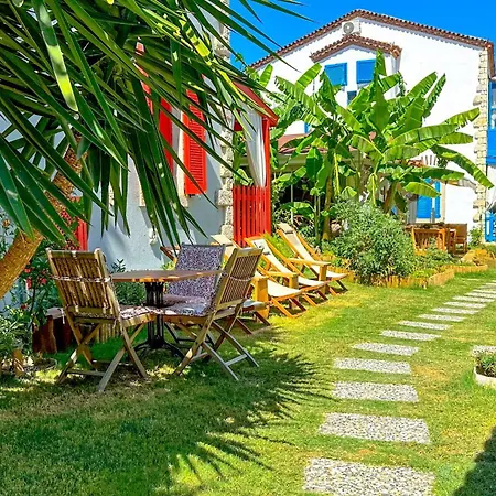 Wellness Garden *